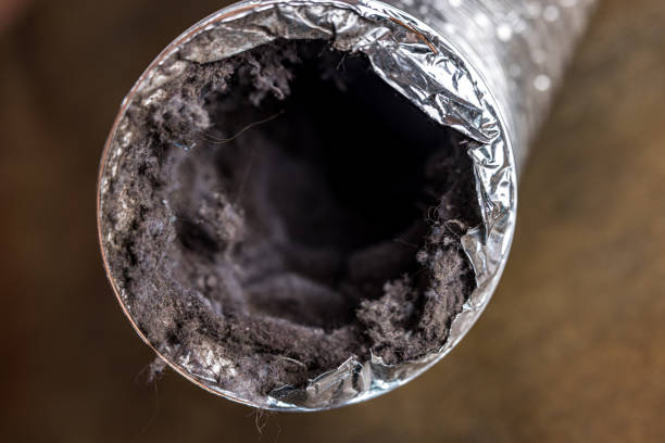 Best Professional Duct Cleaning Services  in Greenfield, MO